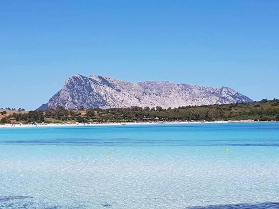 Amazing House 10 Min By Car From The Beach Olbia Extérieur photo