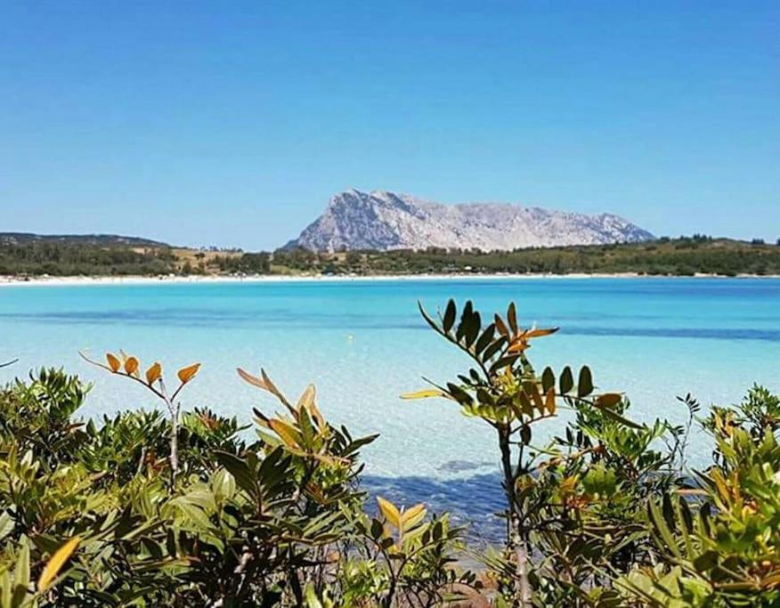 Amazing House 10 Min By Car From The Beach Olbia Extérieur photo