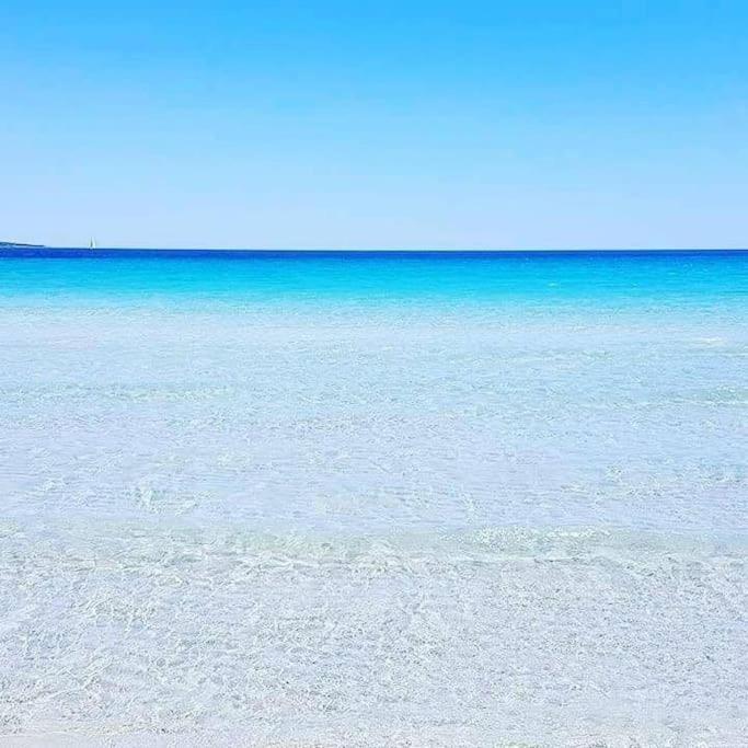 Amazing House 10 Min By Car From The Beach Olbia Extérieur photo