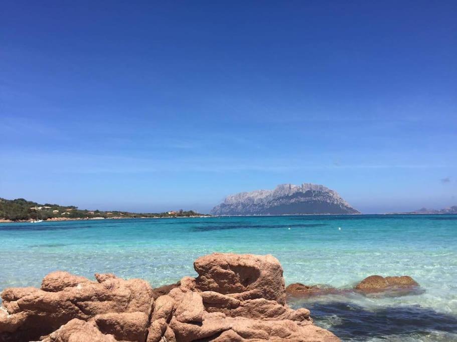 Amazing House 10 Min By Car From The Beach Olbia Extérieur photo