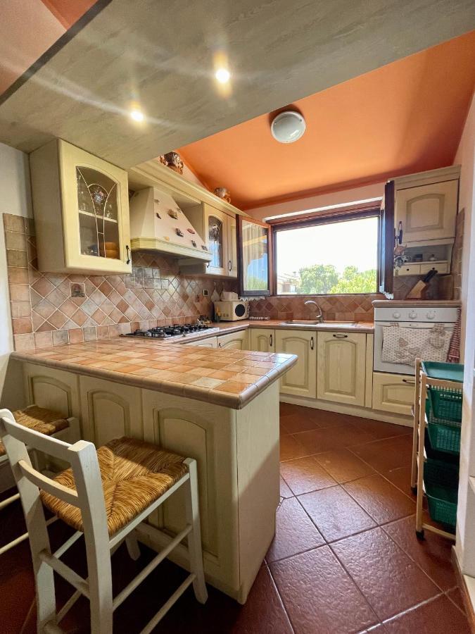 Amazing House 10 Min By Car From The Beach Olbia Extérieur photo